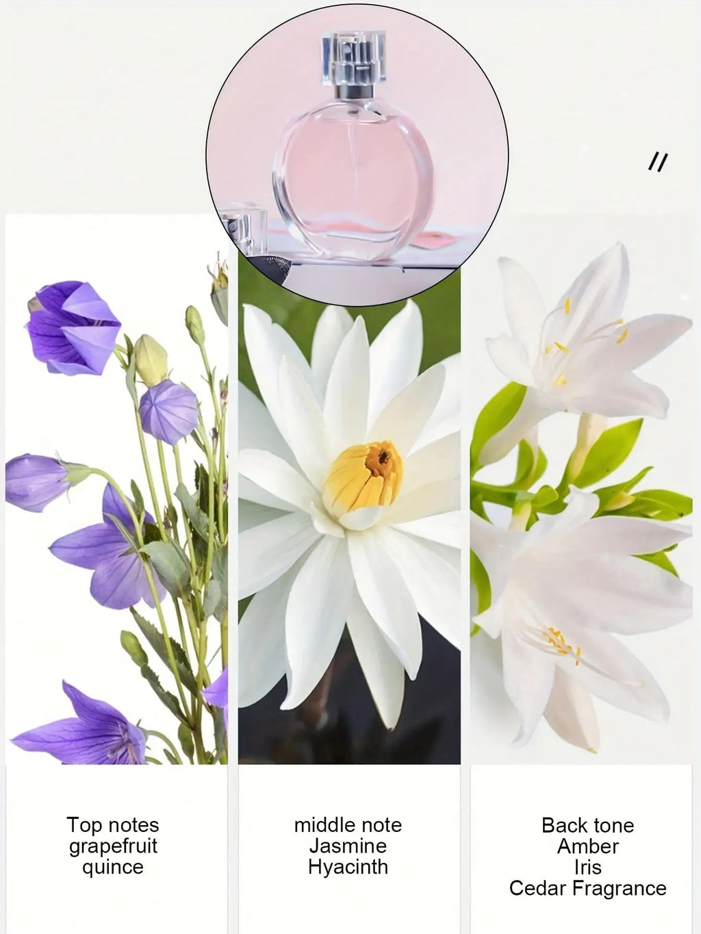Luxury Perfume Gift Set for Women - Valentine’s Day Birthday Anniversary Present 3 Signature Scents