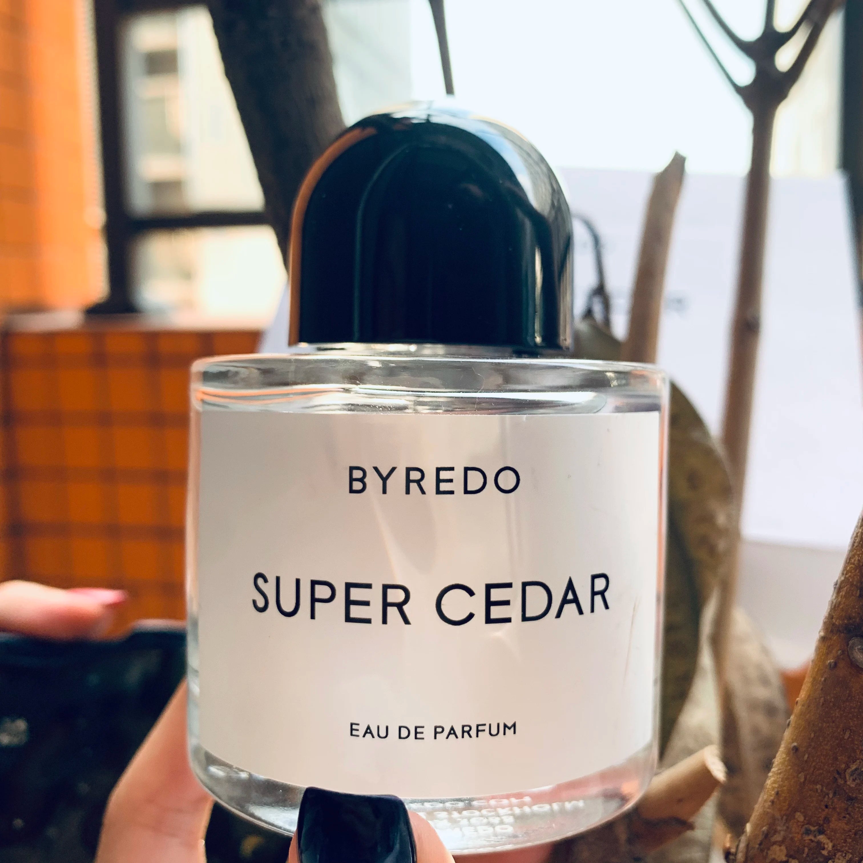 Byred.o Super Cedar Neutral Perfume - 3.4 oz EDP Spray, a woody floral scent that lasts and releases your unique charm, high-en
